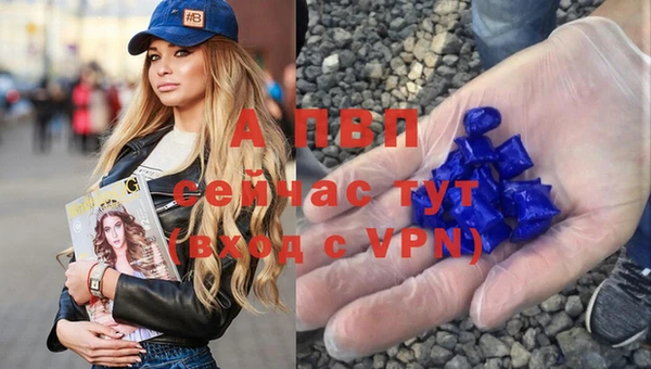 apvp Арсеньев